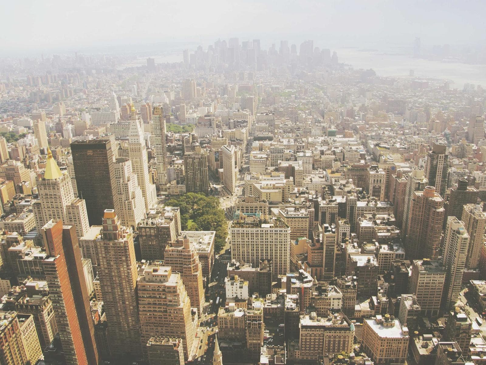 Dense city blocks seen from above in soft morning haze